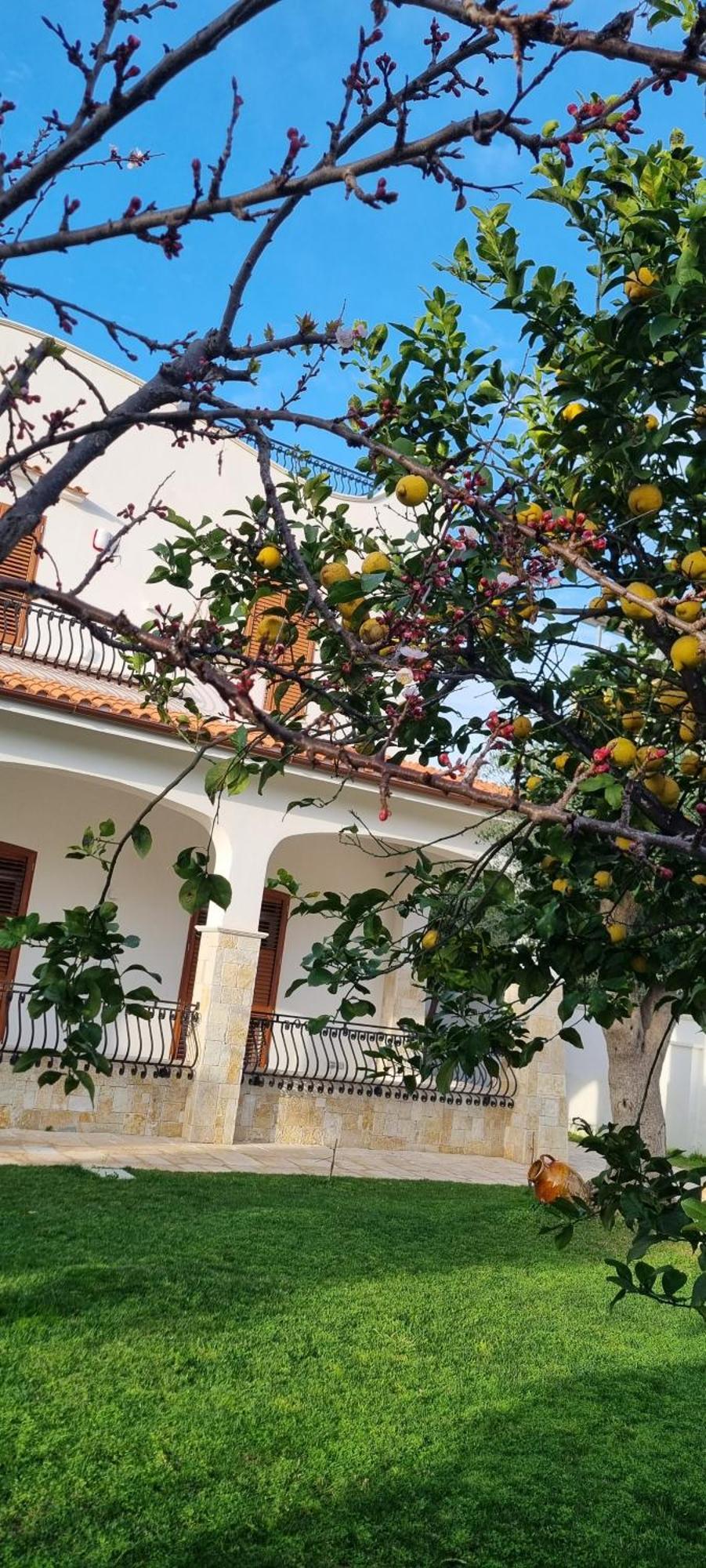 Villa Guajira Bari Exterior foto