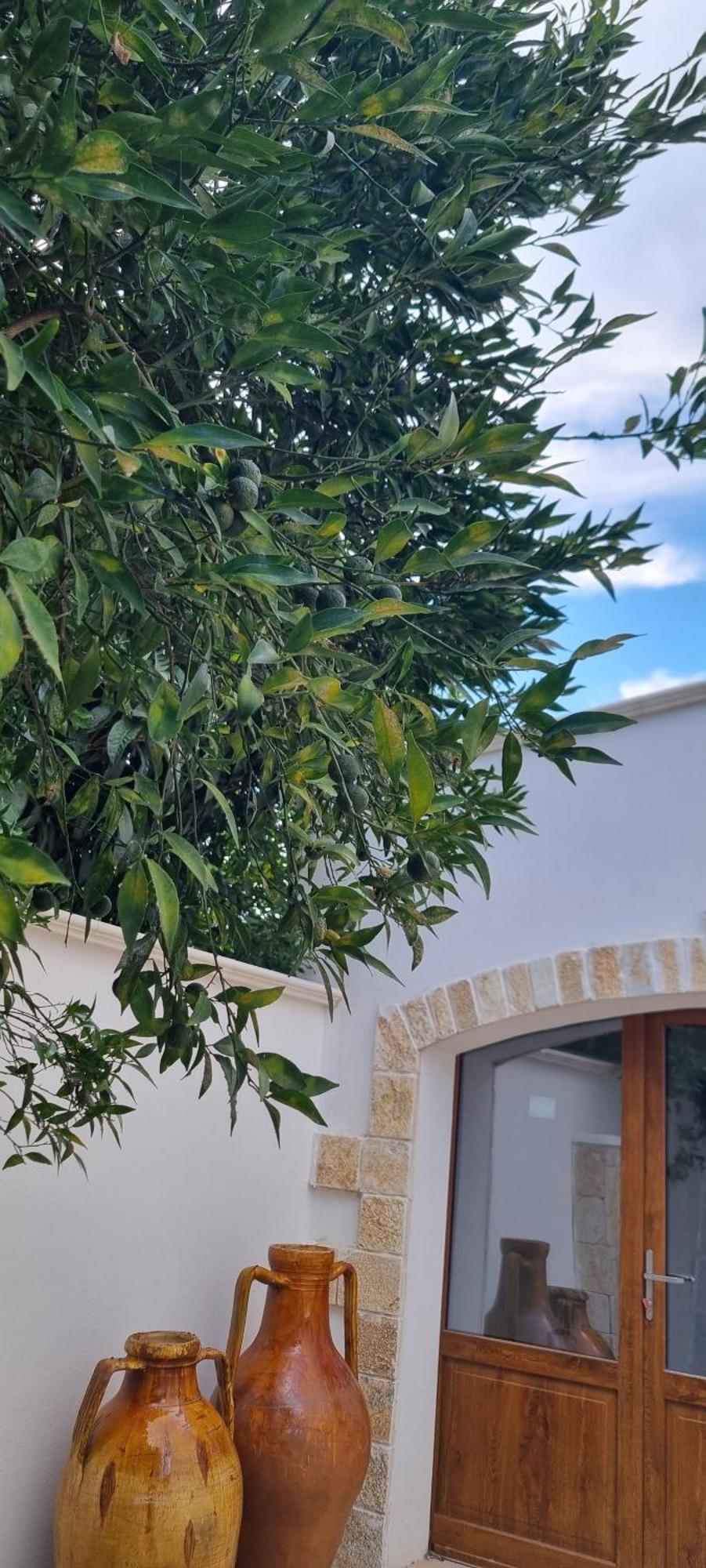 Villa Guajira Bari Exterior foto