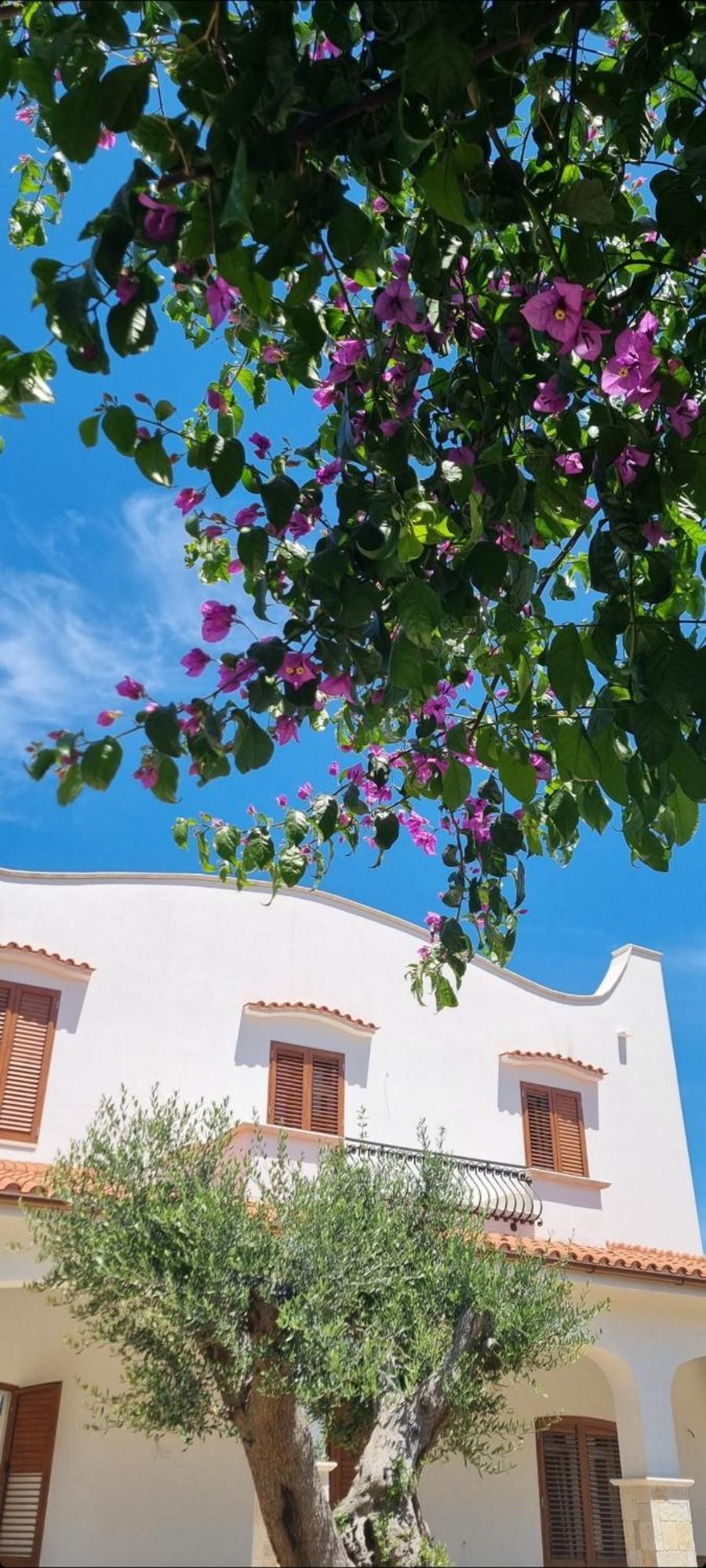 Villa Guajira Bari Exterior foto